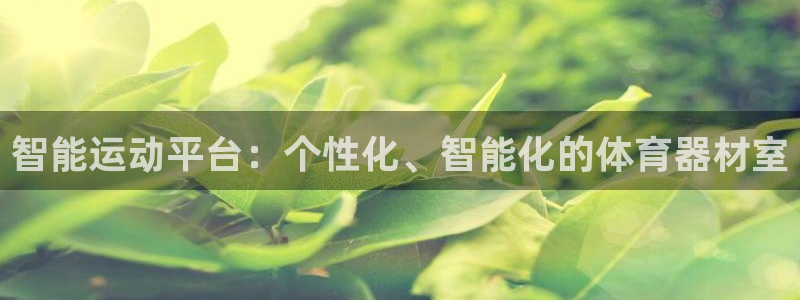 必一体育旧版：智能运