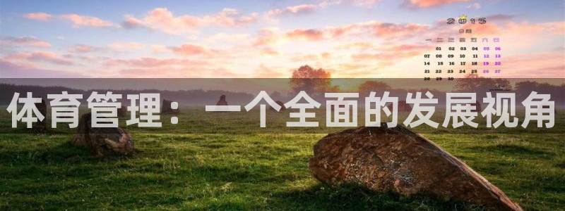 必一体育运动app：体育管理：一个全面的发展视角