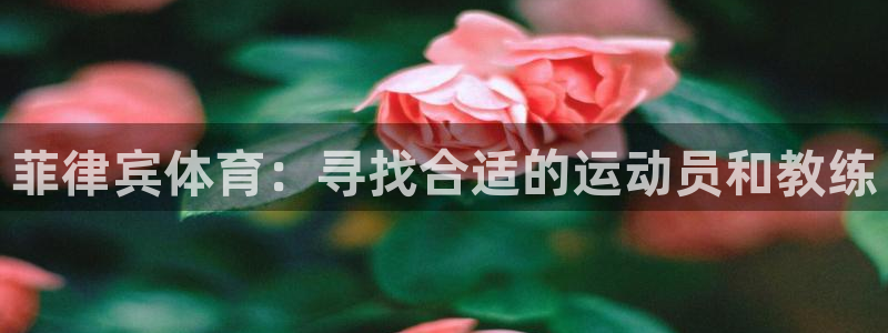 必一体育在线官网：菲