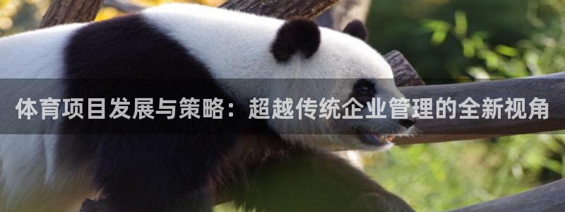 必一体育秀给网：体育