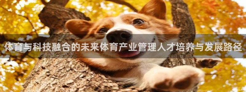 必一运动bsport