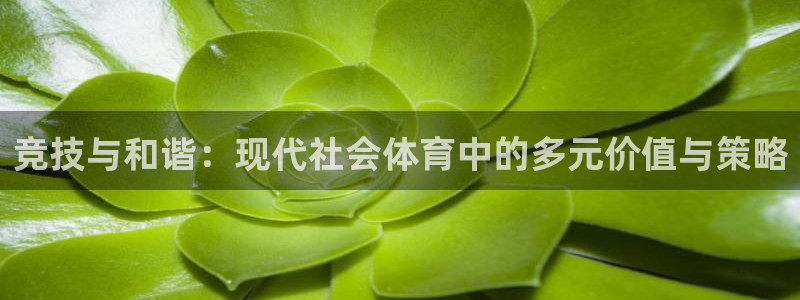 必一体育sport官方网站：竞技与和谐：现代社会体育中的多元