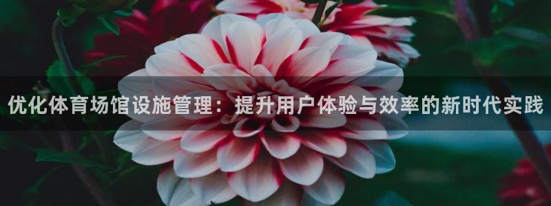 必一体育网址：优化体育场馆设施管理：提升用户体验与效率的新时