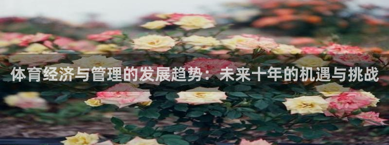 氵必一一厂一：体育经济与管理的发展趋势：未来十年的机遇与挑战