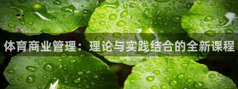 必一体育bsport2023-04-21：体育商业管理：理论