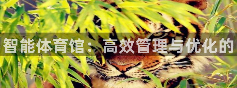 必一体育app官方下
