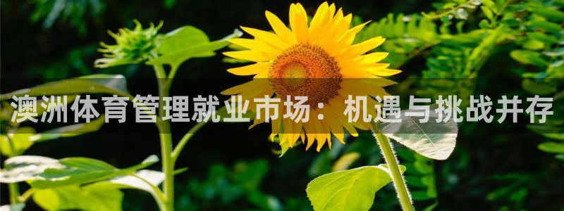 必一体育下载移动版：