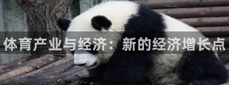 必一体育app平台下