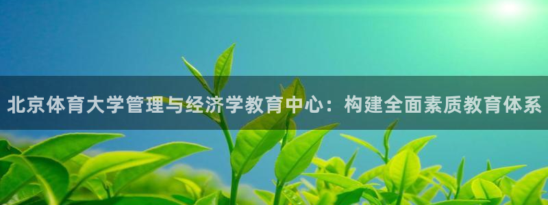 必一体育下载移动版：