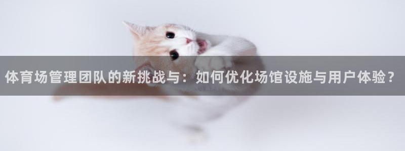 必一体育sport：