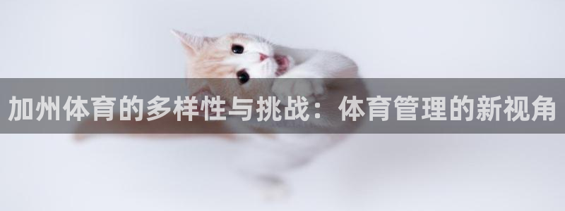 必一体育登录入口AP