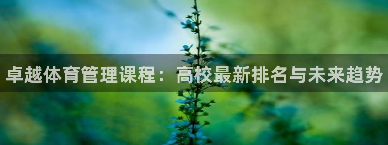 必一运动官网装机吧：卓越体育管理课程：高校最新排名与未来趋势