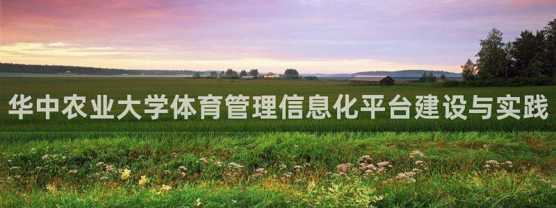 必一运动 b 体育素