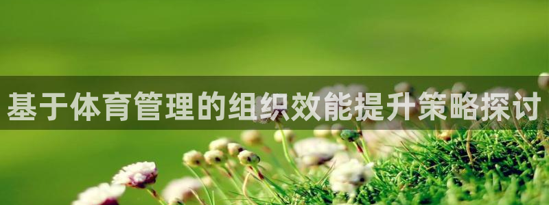 必一体育官方入口：基