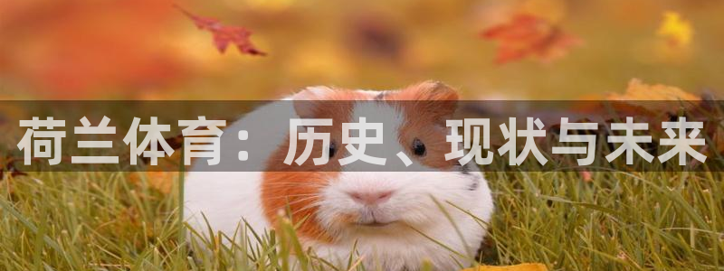 必一体育可靠吗：荷兰