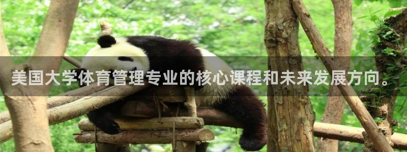 必一体育在线入口：美国大学体育管理专业的核心课程和未来发展方