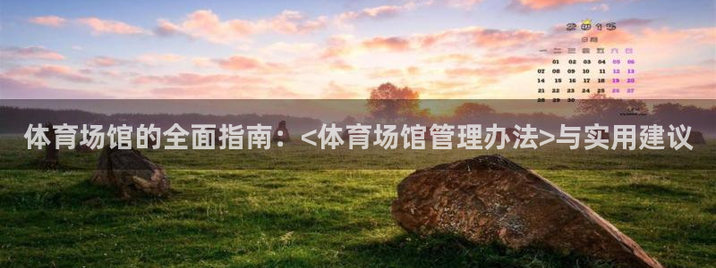 必一体育秀给网：体育