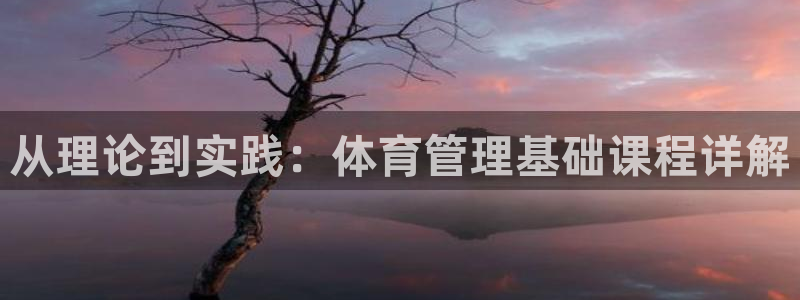 必一体育官方下载：从理论到实践：体育管理基础课程详解