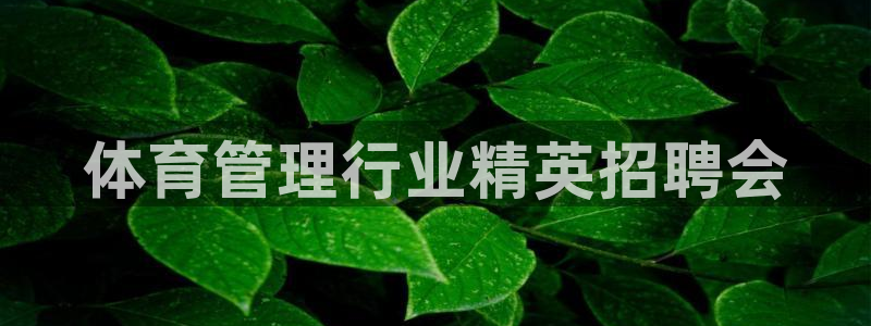 必一体育官方下载入口