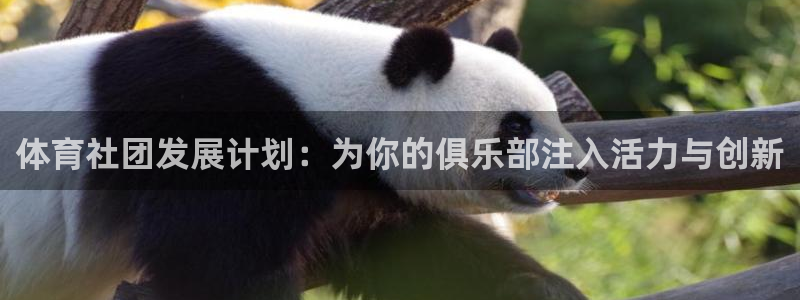 必一体育在线登陆：体