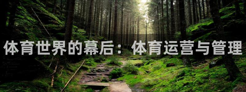 必一体育服下载最新版本更新内容