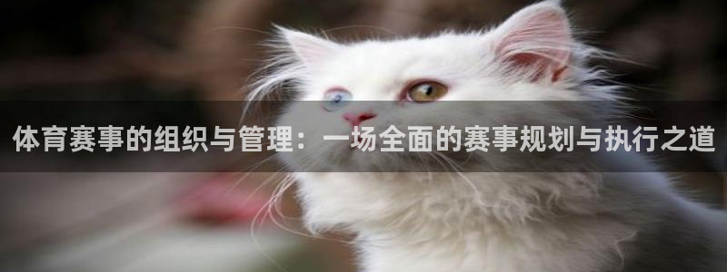 必一体育旧版：体育赛