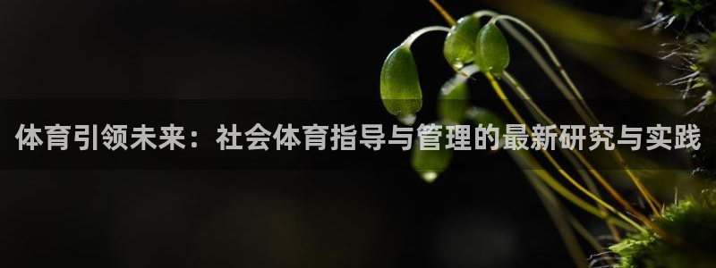 必一体育官网网站：体