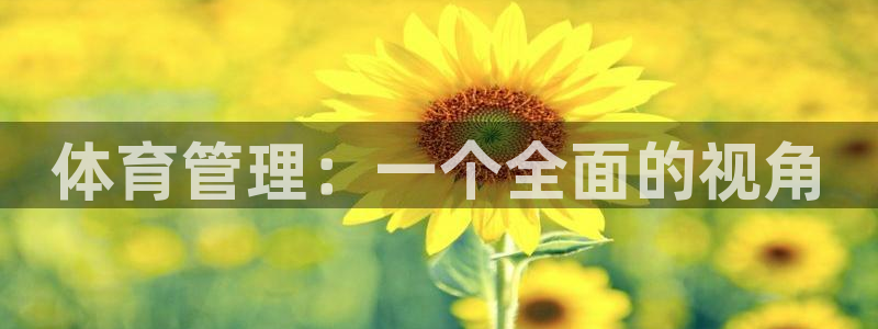 必一体育怎么下载：体