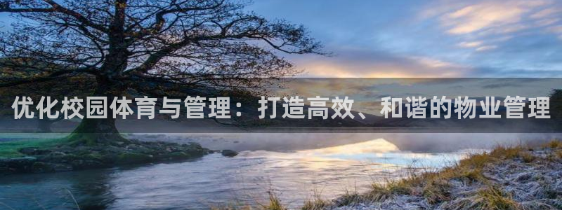 必一运动 b 体育素