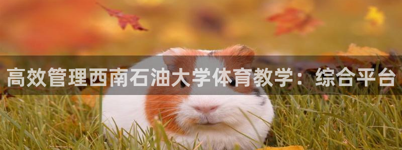 必一体育官网网站