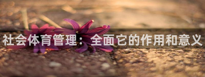 必一体育app下载最新版本苹果