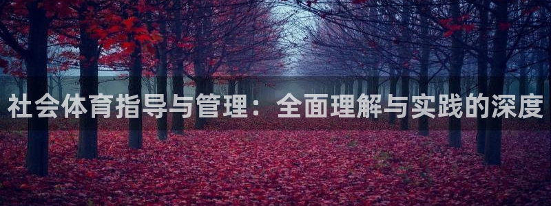 必一体育运动平台官网