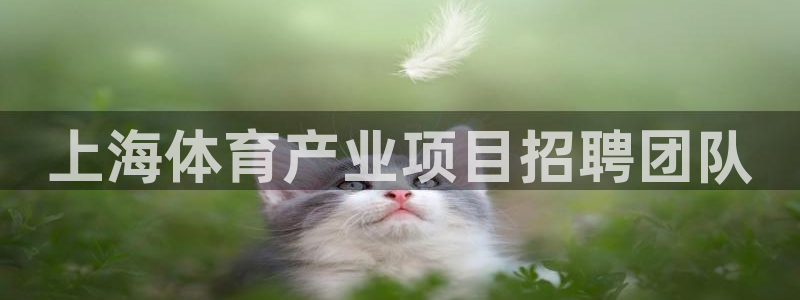 必一体育登录入口：上