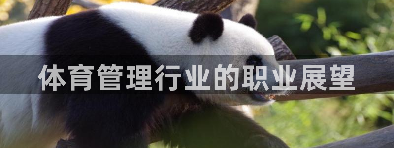 必一运动·(B-Sports)土豆