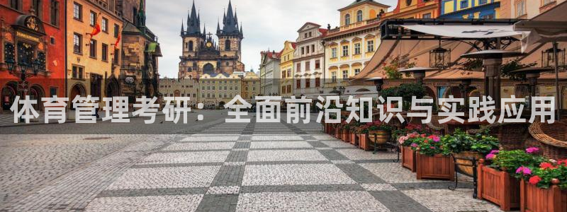 必一体育在哪下：体育