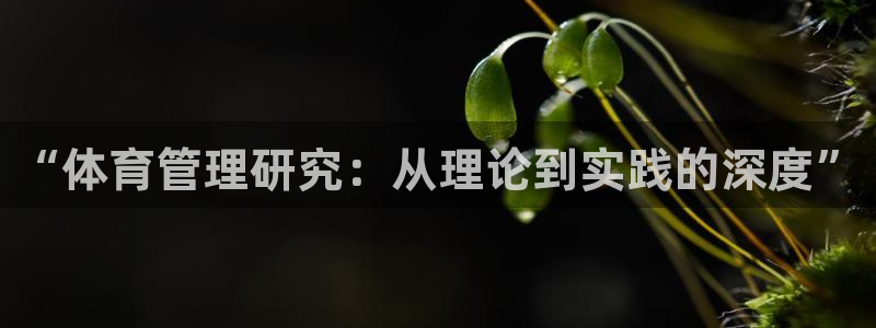 必一体育能提现大金额