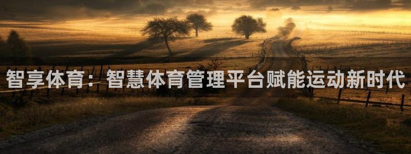 必一体育合法吗