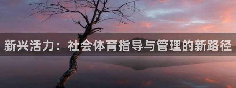 必一体育app下载安