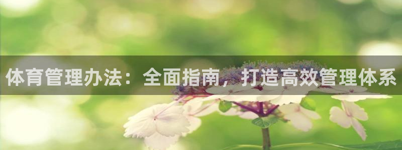 必一体育怎么下载：体