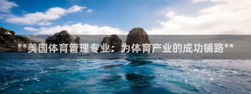 必一体育sport网页版