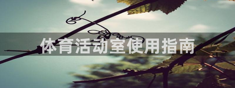 必一体育运动app下载