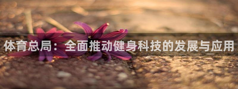 必一体育下载登入：体